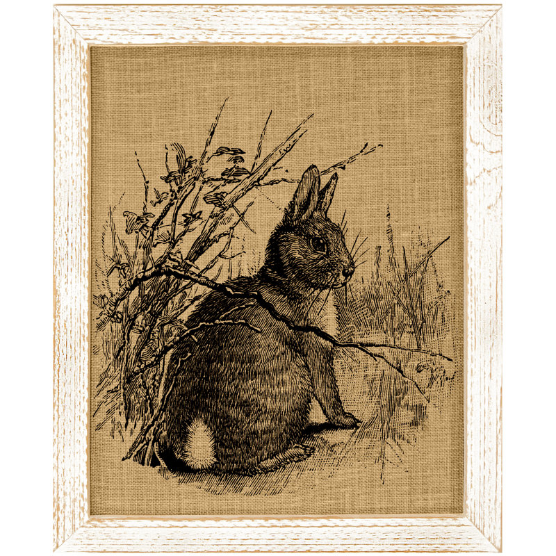 Laurel Foundry Modern Farmhouse Bunny Framed Graphic Art Wayfair